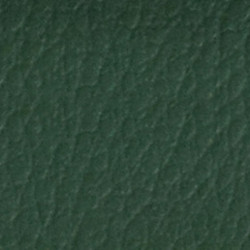 Verde Scuro 024